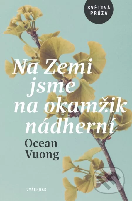 Na Zemi jsme na okamžik nádherní-Ocean Vuong