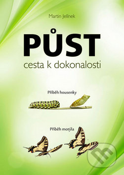 Půst - cesta k dokonalosti-Martin Jelínek