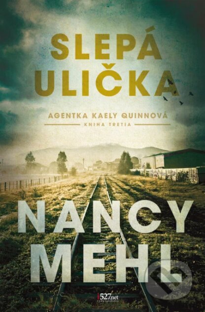 Slepá ulička-Nancy Mehl